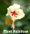 Plant Photography Database